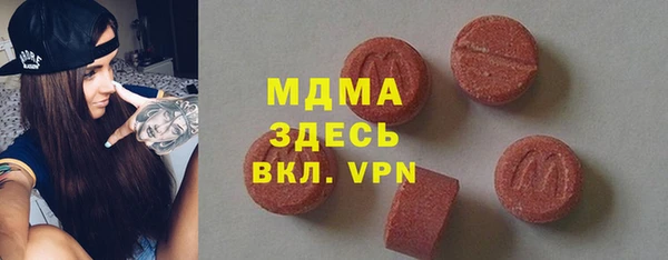 индика Алексин