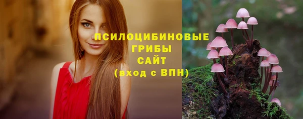 соль ск Алзамай