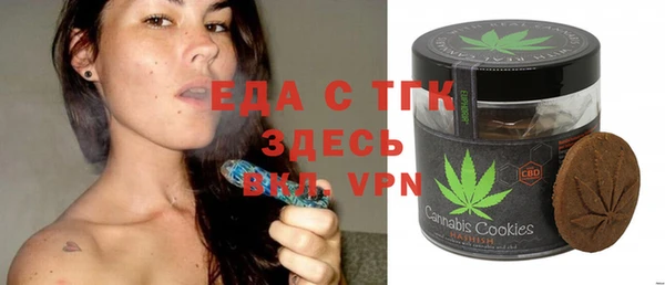 индика Алексин