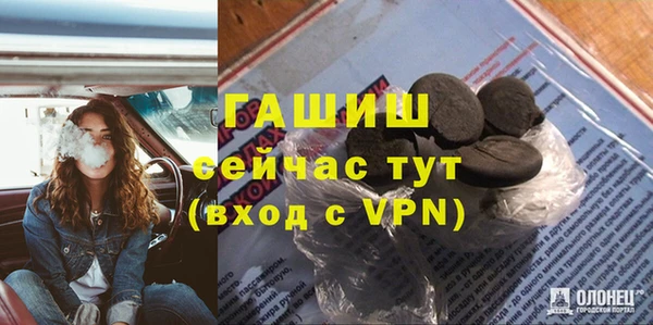 индика Алексин