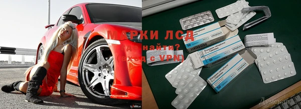 амф Вязьма