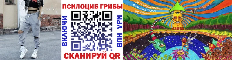 Псилоцибиновые грибы Psilocybine cubensis  Нерехта 